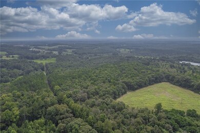 0 W Hendricks St, Bowman, GA 30624 - photo 5