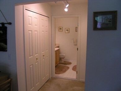 237 Pierce Lake Dr unit 58, Chelsea, MI 48118 - photo 7