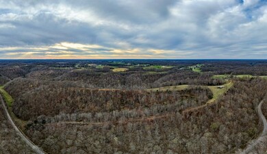 1438 Wartrace Rd, Red Blng Springs, TN 37150 - photo 5