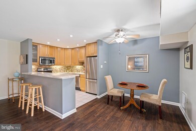 6135 Leesburg Pike unit 105, Baileys Crossroads, VA 22041 - photo 6