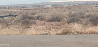 4221 Well Field Rd, Winslow, AZ 86047 - photo 3