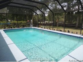 Beautiful Pool