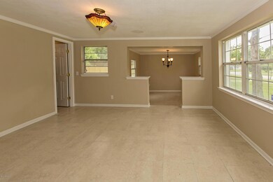 5545 Tampico Rd, Jacksonville, FL 32244 - photo 3