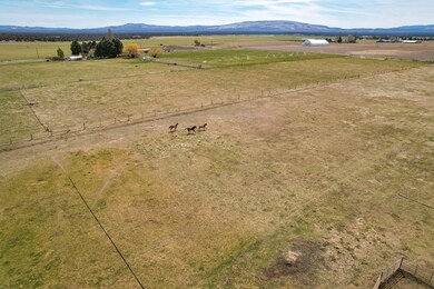 DJI_0591