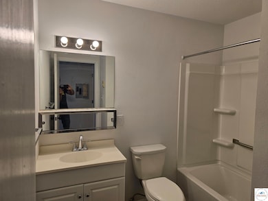 206 N Ohio St, Chilhowee, MO 64733 - photo 6