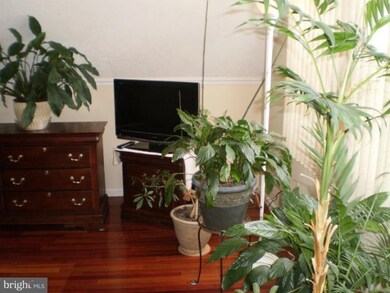 4906 Rocky Spring Ln, Bowie, MD 20715 - photo 2