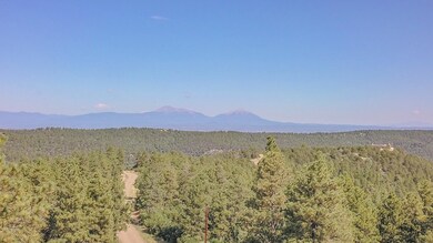 DJI_0242a