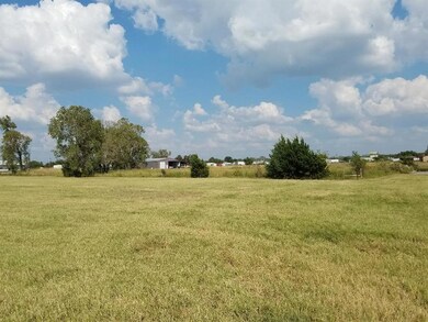 730 E Rock Island Ave, Boyd, TX 76023 - photo 4