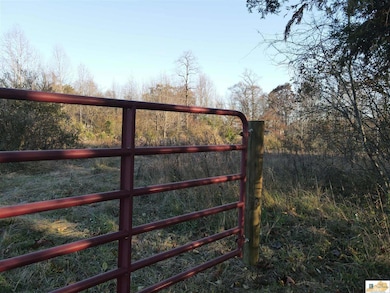 100 Tudy Ridge Rd, Science Hill, KY 42553 - photo 7