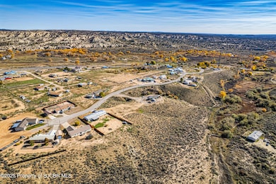 NYA Road 1499, La Plata, NM 87418 - photo 6