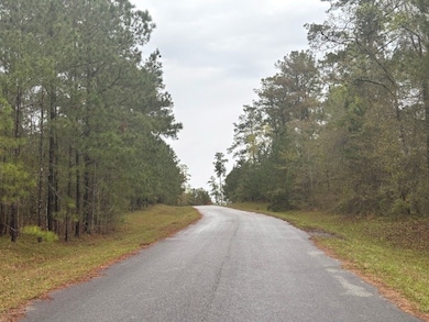 Lot 2 Jacquelyn Ct, Bainbridge, GA 39819 - photo 5