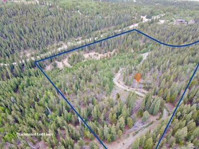 0 Beaver Creek Rd unit REC9026847, Alma, CO 80420 - photo 7