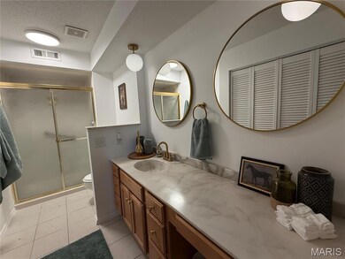 917 Claytonbrook Dr unit 3, Ballwin, MO 63011 - photo 5