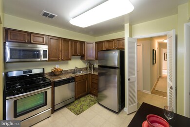 12 Ruxview Ct unit 202, Towson, MD 21204 - photo 4