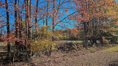 TBD County Road 219, Tyler, TX 75707 - photo 4