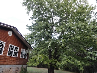 233 Piney Rd, Marshall, AR 72650 - photo 6