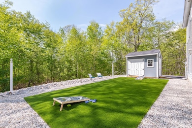 Low Maintenance Turf