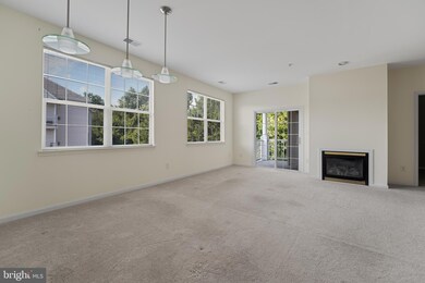 9609 Devedente Dr unit 201, Owings Mills, MD 21117 - photo 6