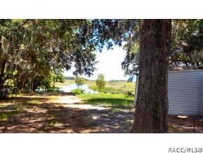 view from driveway