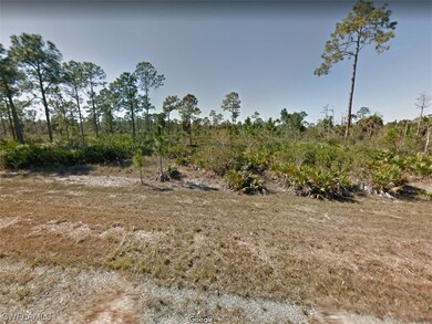 2145 Winnetka Dr, Lehigh Acres, FL 33972 - photo 3