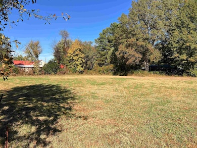 65 Blue St, Oakland, TN 38060 - photo 7