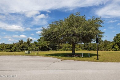 110 Marshland Cir, White Oak, NC 28570 - photo 5