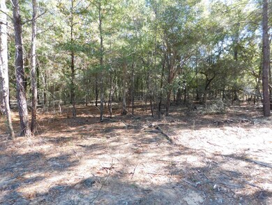 Cleared Area