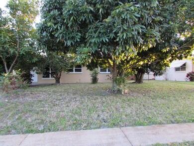 Fruit Trees