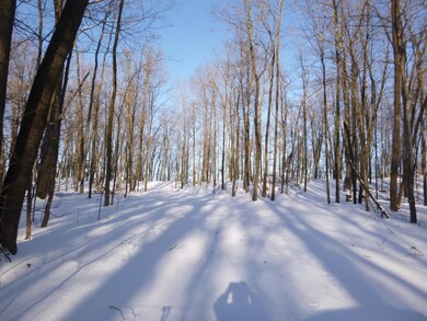 Beautiful Wooded lot.