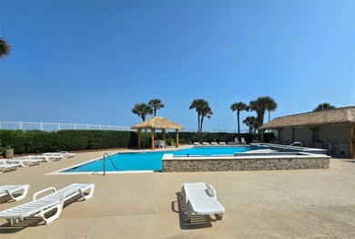 resort style pool with paplapa covered cooking and