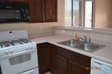 double kitchen sinks