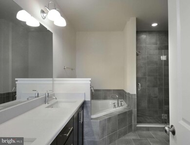 909 Parker Gray School Way unit DUNCAN, Alexandria, VA 22314 - photo 5