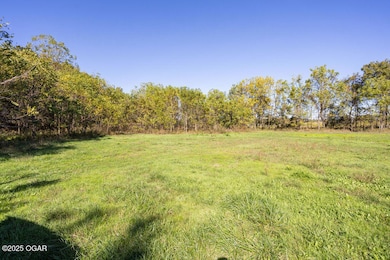 000 Farm Rd 1140 (Tract2), Verona, MO 65769 - photo 2