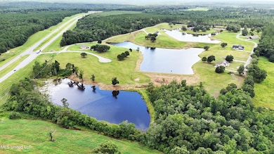 Lot 23 Gracies Way, Lucedale, MS 39452 - photo 6