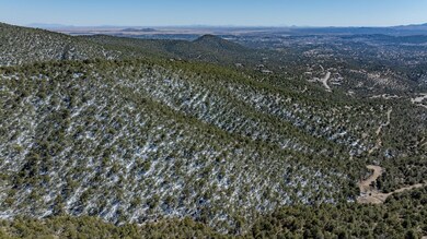 0 Darling Bell unit 23137609, Silver City, NM 88061 - photo 7