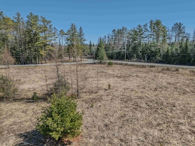 25 Lafayette Rd, Franconia, NH 03580 - photo 3
