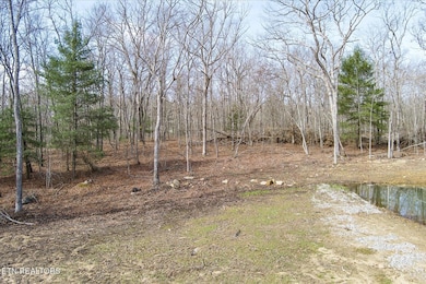 372 Perkins Trail, Deer Lodge, TN 37726 - photo 6