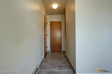 AVDP06