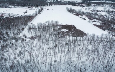 DJI_0239