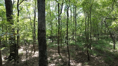 0 Twin Bridges Rd unit 11579160, Eatonton, GA 31024 - photo 3