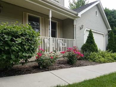 Rose Bushes