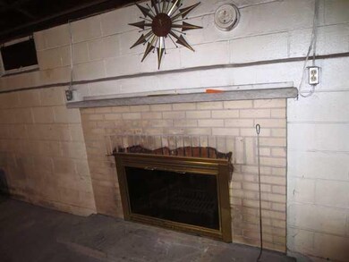 Other fireplace in basement