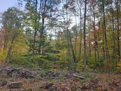 0 V L E 22 3 4 Rd, Manton, MI 49663 - photo 6