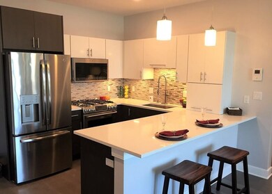 Cliveden Place unit 505W, Quincy, MA 02169 - photo 3