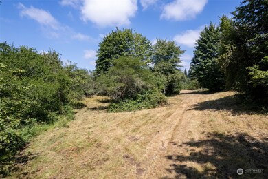 47031 286th Ave SE, Enumclaw, WA 98022 - photo 4