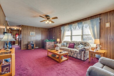 288 Butchertown Rd, Fall Branch, TN 37656 - photo 7