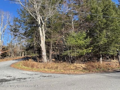 Tbd Park, Lexington, NY 12452 - photo 3