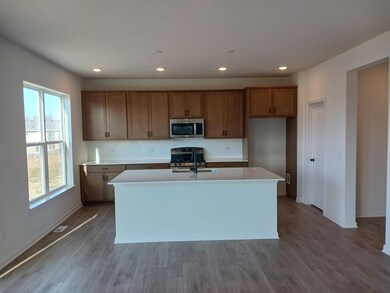 7249 Large Ave NE, Otsego, MN 55330 - photo 2