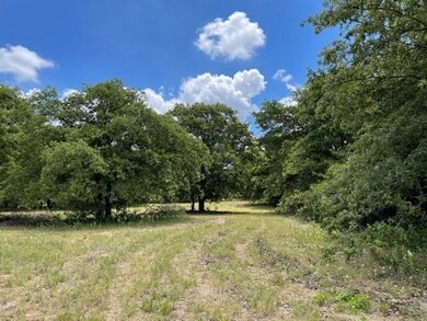 1670 Cottonwood Trail, Poolville, TX 76487 - photo 4