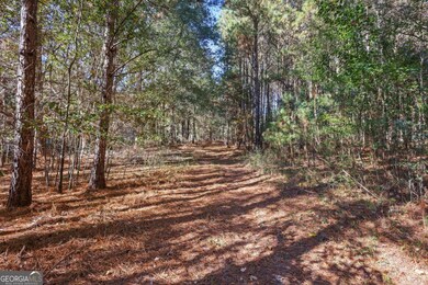 76 Paul Smith Rd unit 6, Covington, GA 30014 - photo 7